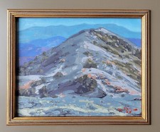 Listed california baldy for sale  Spring Valley