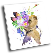 Square animal photo for sale  STRABANE