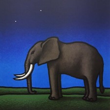 Tino stefanoni serigrafia usato Tino stefanoni serigrafia usato  Riccione