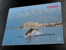 Corsica dolphins bay for sale  WAKEFIELD