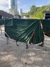 Premier equine buster for sale  SHEPTON MALLET