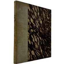 Pistole fucili armi usato Pistole fucili armi usato  Roma