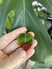 Art class lampwork for sale  Ephrata