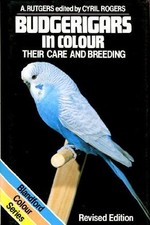 Budgerigars colour care for sale  UK