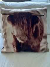 highland cow for sale highland cow for sale CHEADLE