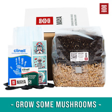 One mushroom grow for sale  LYDBROOK