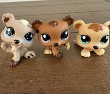 Triplets bear cubs for sale  Naples