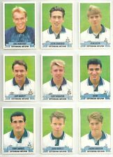 Tottenham hotspur paninifootba for sale  BEVERLEY