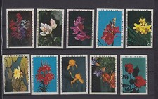 Fleurs average match d'occasion  Expédié en Belgium