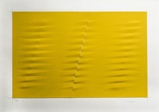 agostino bonalumi serigrafie usato agostino bonalumi serigrafie usato Napoli