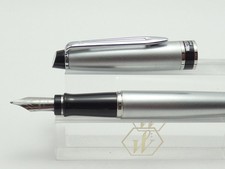 Waterman expert brushed for sale  COLERAINE