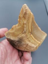 Neanderthal middle paleolithic d'occasion  Bonneville