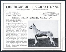 1930 great dane for sale  Denver