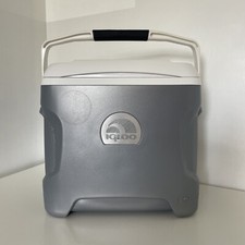 Igloo electric cooler for sale  TAVISTOCK