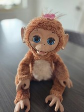Elli sucht zuhause gebraucht kaufen  Königsbronn