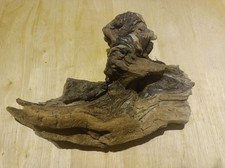 Unique rooty driftwood for sale  OLDBURY