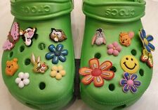 Shoe charms flowers for sale  BATH