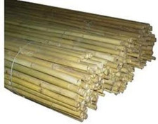 Canne bamboo bambù usato  Roma