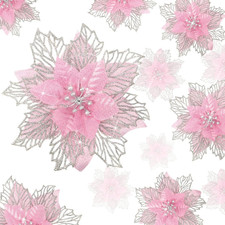 Fiori stella natale usato Fiori stella natale usato  Roma