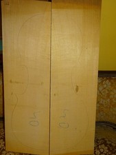 Tonholz tonewood interessante gebraucht kaufen  Deutschland