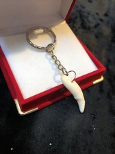 Genuine coyote tooth for sale  Merrick