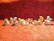 calico kitten calico kittens for sale calico kitten calico kittens for sale Coventry