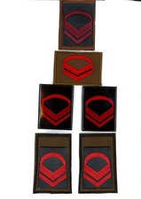 Gradi graduato scelto usato Gradi graduato scelto usato  Italia