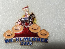 Pin remember 2005 d'occasion  Riedisheim