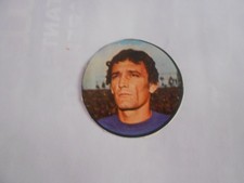 Adesivo sticker riva usato  Torino