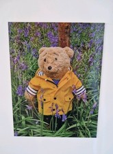 Horace alresford bear for sale  BRISTOL
