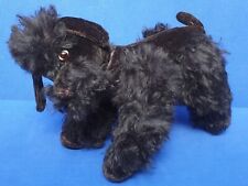 Alter hund pudel gebraucht kaufen  Niederkassel
