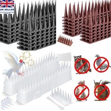 Bird spike 10m for sale  COALVILLE