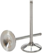 Válvula de admissão Del West (2mm tamanho grande) - Centro - Titânio DWYFZ450R21IV03 comprar usado  Enviando para Brazil