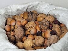 Nourriture écureuils oiseaux d'occasion Nourriture écureuils oiseaux d'occasion  Expédié en France