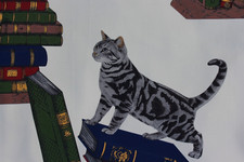Fornasetti tessuto vintage usato  Zanica