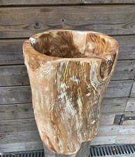 50cm echt holz gebraucht kaufen  Münster
