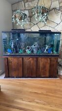 120 gallon fish for sale  Rancho Palos Verdes