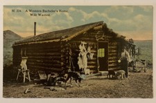 Vintage postcard western for sale  Amsterdam
