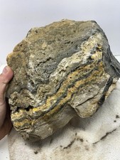 20lb bumblebee jasper for sale  Spokane