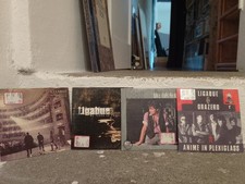 Ligabue usato  Chiavenna