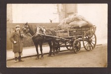 horse drawn wagon for sale horse drawn wagon for sale YORK