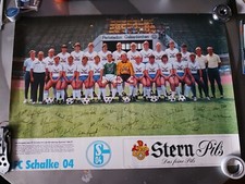 Schalke mannschaftsposter 87 gebraucht kaufen  Bad Sassendorf