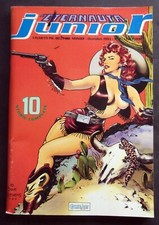 Dave stevens copertina usato  Roma