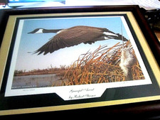 steiner prints for sale steiner prints for sale Red Lion
