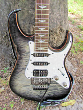 Schecter diamond series for sale  Naples