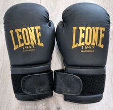 Guantoni boxe leone usato  Scafati