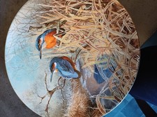 Kingfisher coalport bird for sale  GOOLE