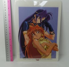 Placa de arte em PVC personagem Slayers Lina & Naga D comprar usado  Enviando para Brazil