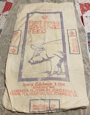 Red rose swine for sale  Covington