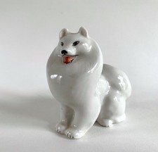 Lomonosov ussr samoyed for sale  Cambridge